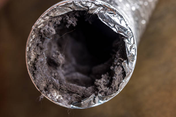 Best Home Air Vent Cleaning  in Hilltop, MN