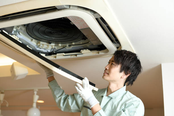 Best Air Duct Mold Removal  in Hilltop, MN
